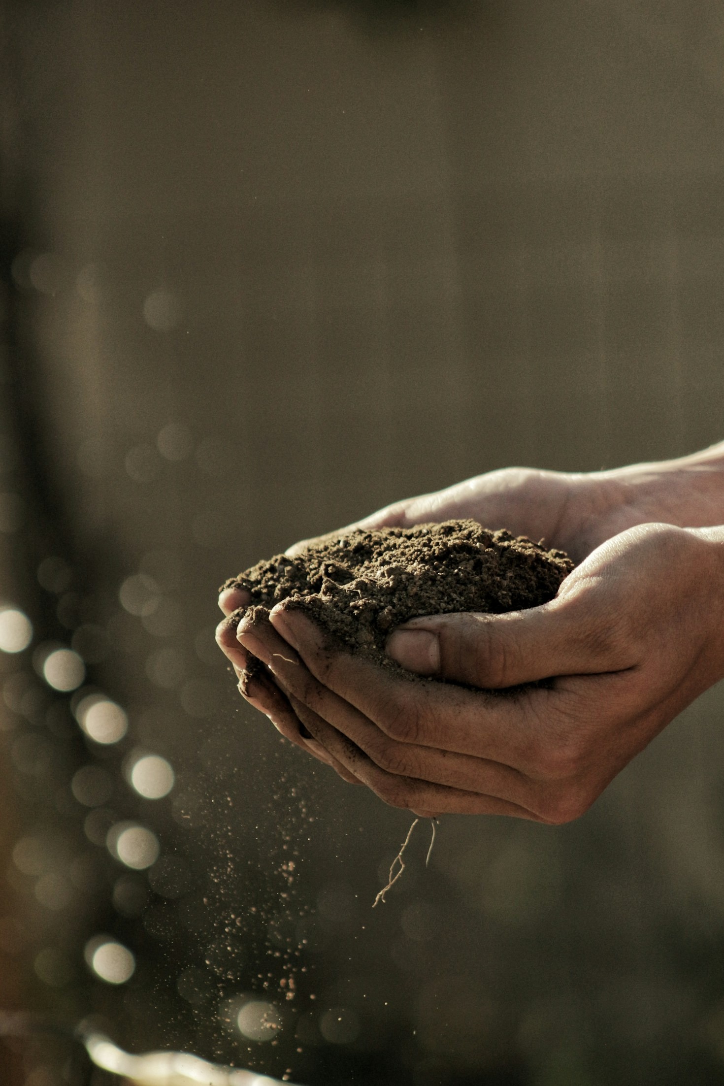 Top Resources for Sustainable and Organic Farming